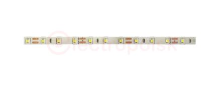 Лента светодиодная LED PLS PRO 5050 RGB 12 Вт/м 24В 5м